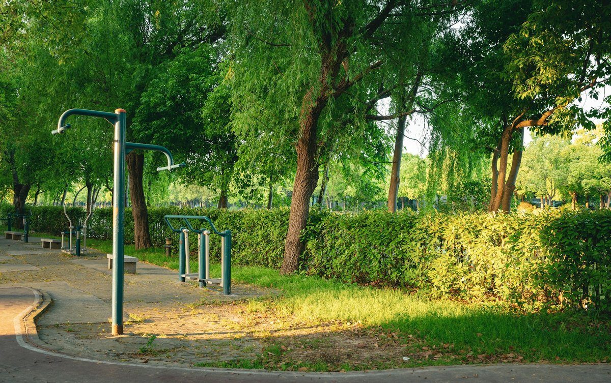 Barres de traction métalliques alignées le long d'une allée de parc